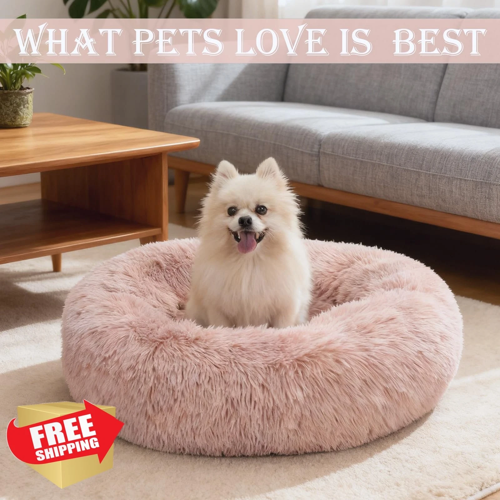 Washable Pet Bed Round Warming Mat Small Large Ultra