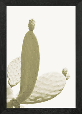 Minimalist green cactus Framed Wall Art Poster Canvas Print Picture