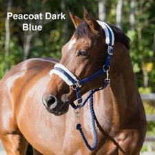 22244 Horze Howard Halter Padded NEW