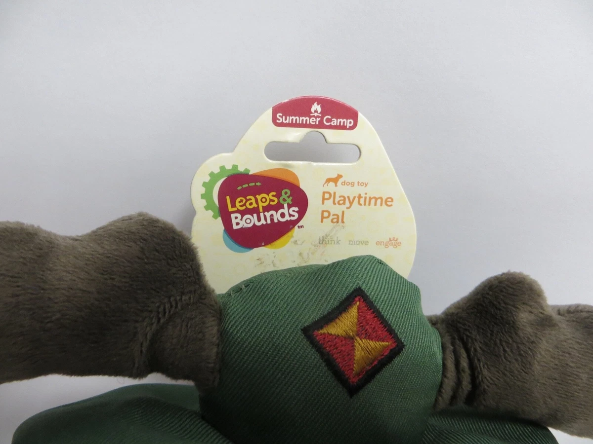 Leaps and top bounds playtime pal