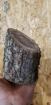 Solid Walnut Pedestal