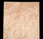 Foto 1 di 8