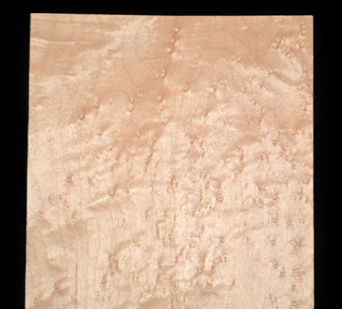 Birdseye Maple Raw Wood Veneer Sheet 6.5 x 52 inches 1/42nd             35136-66 - Foto 1 di 8