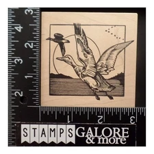 STAMPA ROSA RUBBER STAMPS FLOCK GEESE DUCKS BIRDS MOON SCENERY BORDER FRAME #T22