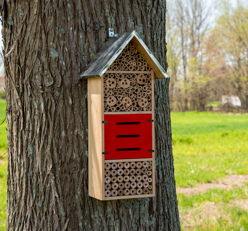JCs Wildlife Tall Insect Hotel - ideal für die Unterbringung von Einmaurerbienen, Blattschneiderbienen - Bild 6 von 6