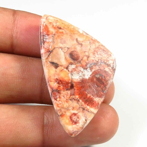 NATURAL BIRD EYE JASPER CABOCHON 38X23 MM TRILLION SHAPE GEMSTONE LOOSE BJ-07 - Picture 3 of 5