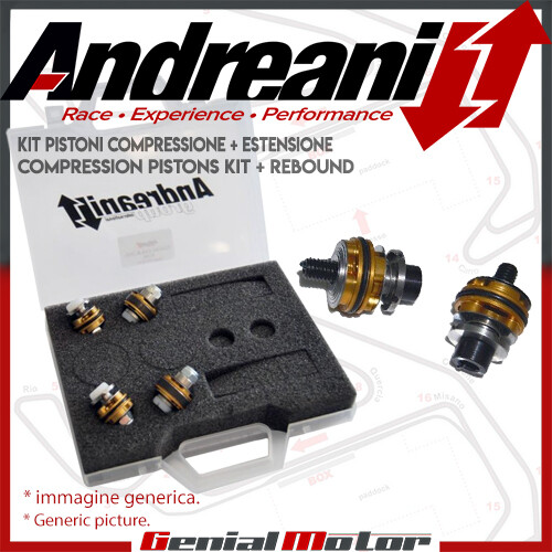 Andreani Compression and Rebound Fork Pistons Kit for Yamaha YZF