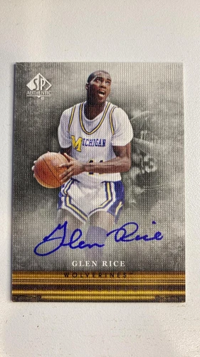 2013-14 SP Authentic Canvas Collection Glen Rice Autograph #CC-27 SP