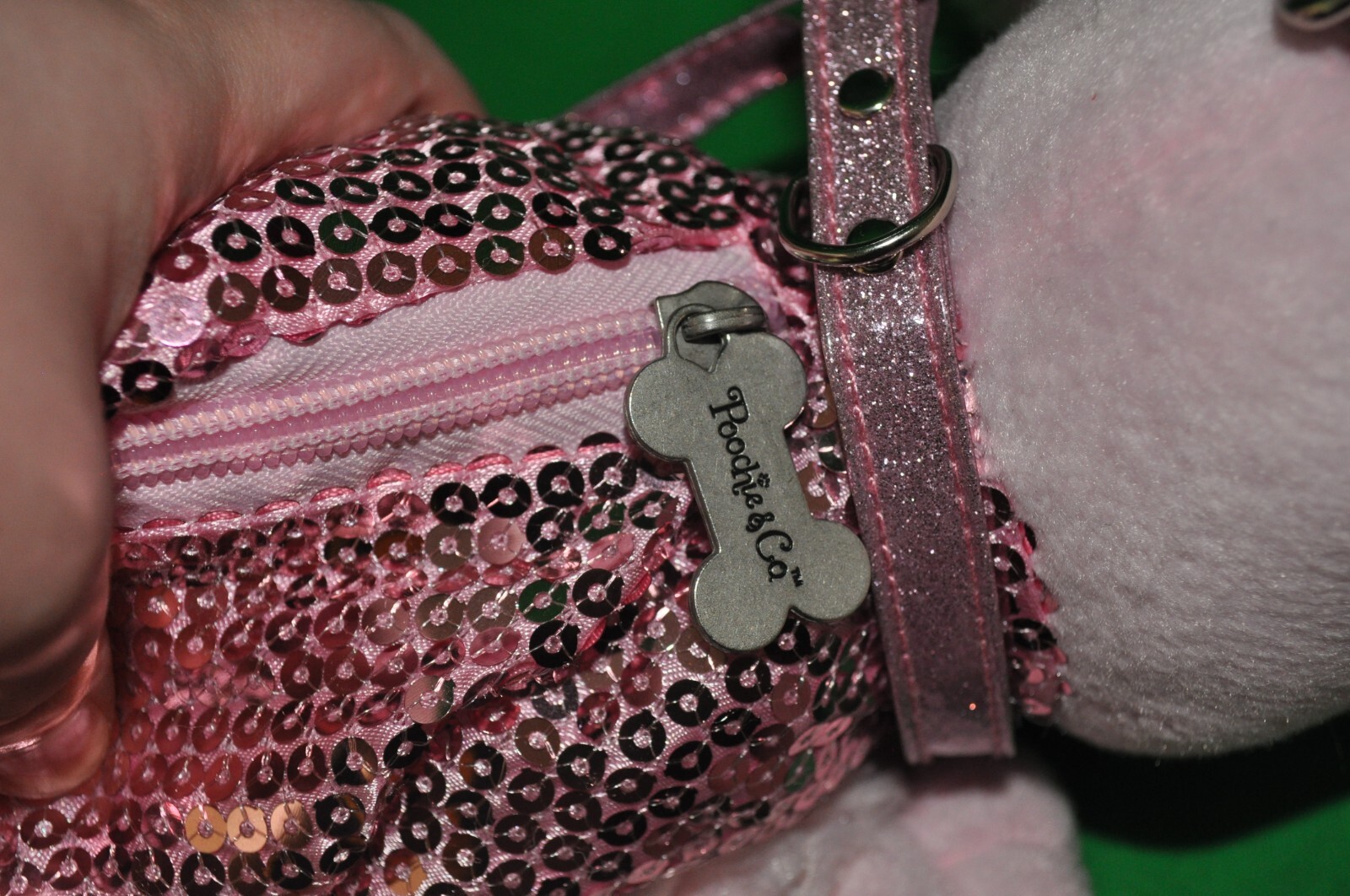 Picture 5 of 5