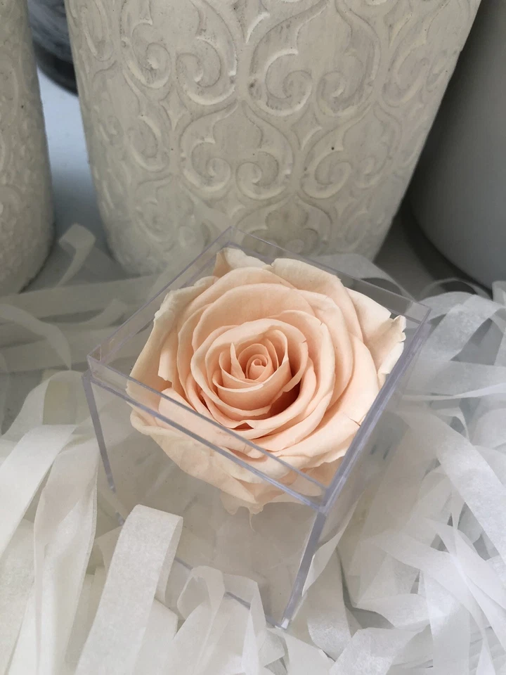 Rosas preservadas en caja transparente acrílica Ifinity Forever Rose en cualquier color Foto 3 de 4