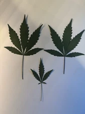 Dried Pressed Cannabis Marijuana Fan Leaves Small Medium Large ￼