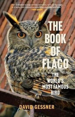 David Gessner The Book of Flaco (Taschenbuch) (US IMPORT)