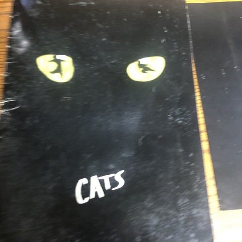 CATS The Musical Broadway Souvenir Program Brochure Book & Cast Bio