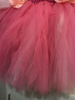 Aurora (Sleeping Beauty) Birthday Dress | eBay