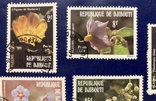 Djibouti: Complete set of 5 "Flowers", SC #498-502, issued 1979. Lot 02-082205