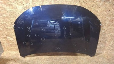 Renault Scenic E-Tech V 2024 Motorhaube 656B87690R CEN33948