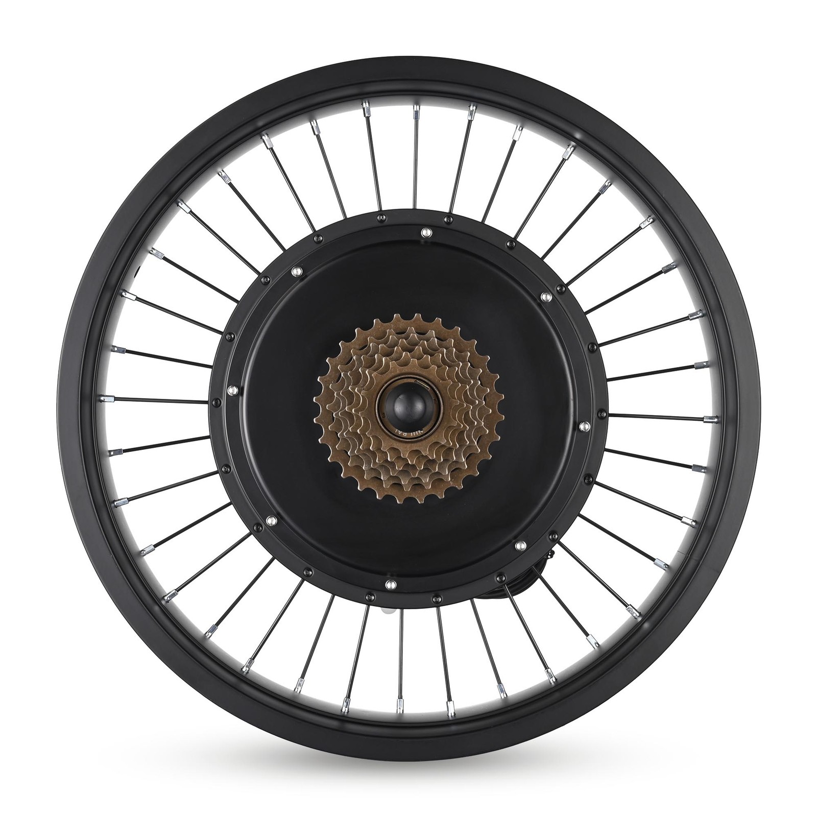 Xcceries 20"x4" Fat Tire 48V Ebike Rear Wheel Bicycle Conversion Kit LCD 1000W