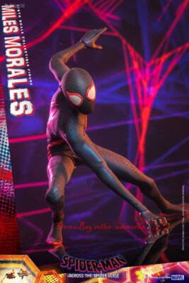 Hot Toys 1/6 Mms710 Spider-Man Across The Spider-Verse Miles
