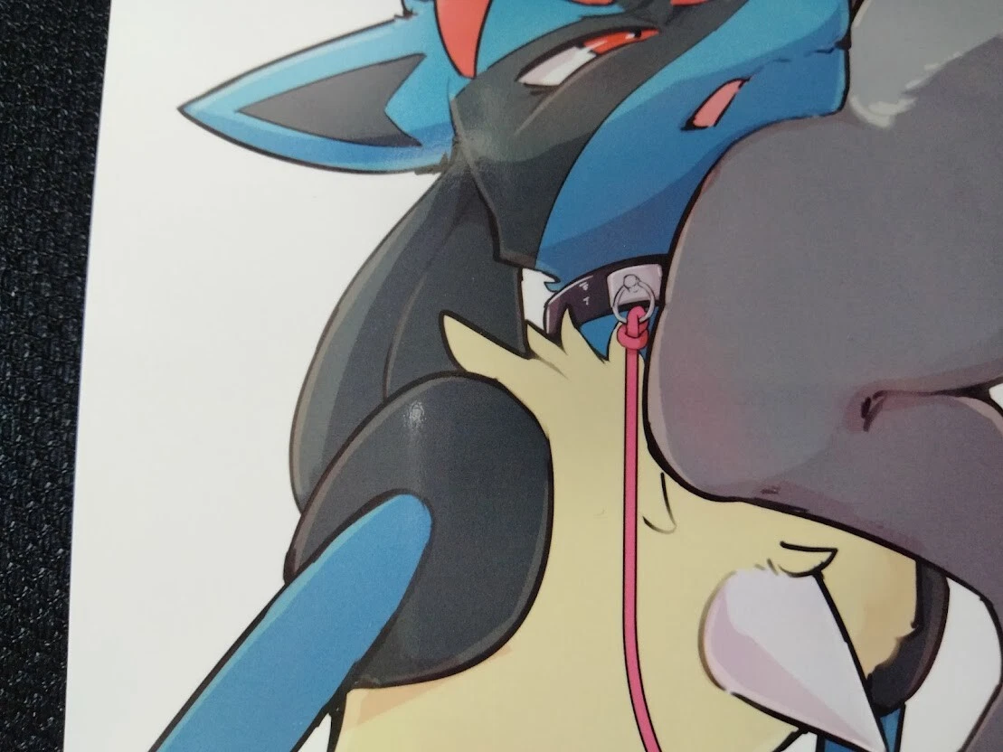Doujinshi POKEMON Zoroark X Lucario (B5 16pages) makeinu dou chikiukure |  eBay