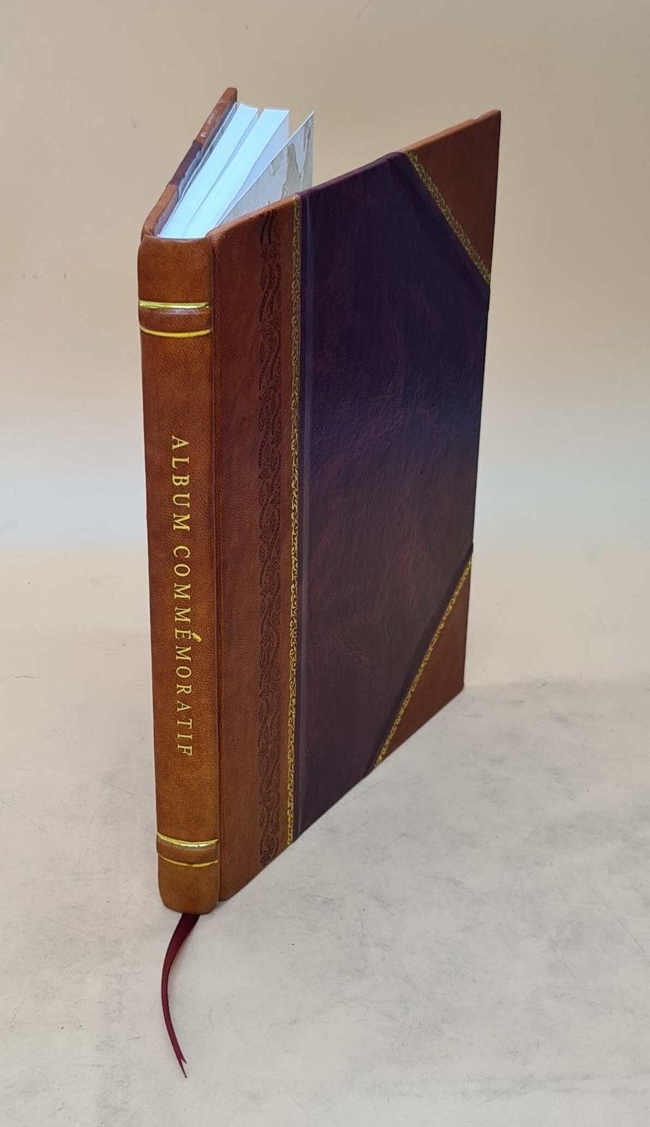 Album Comme?Moratif 1900 [Leather Bound]
