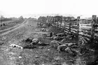 New 5x7 Civil War Photo: Dead on Hagerstown Road at Antietam - Sharpsburg, 1862