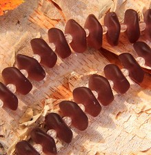 Ruffle Coin Beads,14mm, Amethyst w/ Frosted, Matte, Sea Glass Finish, 10 Pcs