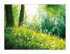 Bild 23 von 45