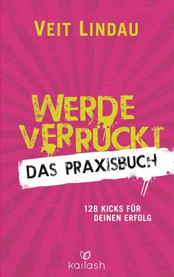 Werde verrückt - Das Praxisbuch | Der Wegbegleiter für deine Vision | Lindau