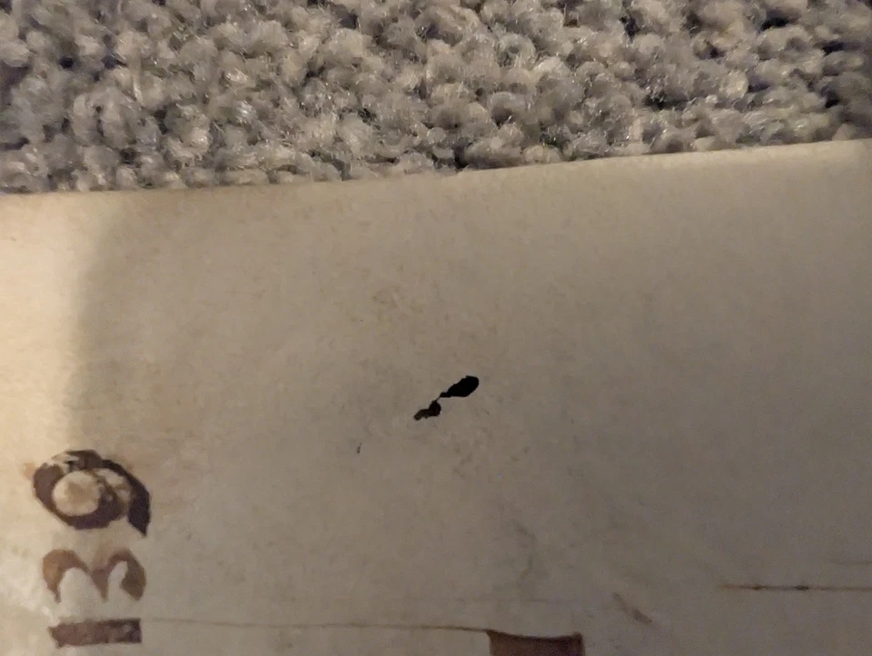 Authentic Illuminated Manuscript Page - Unframed - Image 4 of 4