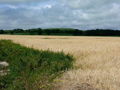 Photo 12x8 (A4) Baldoon Airfield 14 c2010