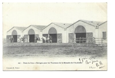 13 IN THE CRAU BULL SHELTERS OF THE AUDIENCE HERAD