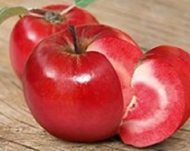 Why Weight? Apple Cinnamon USA Tray with Lid 9 High Fibre Bars Made to Order - Image 3 of 4