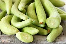 Armenian Cucumber Seeds | Non-GMO | Heirloom | Fresh Garden Seeds USA
