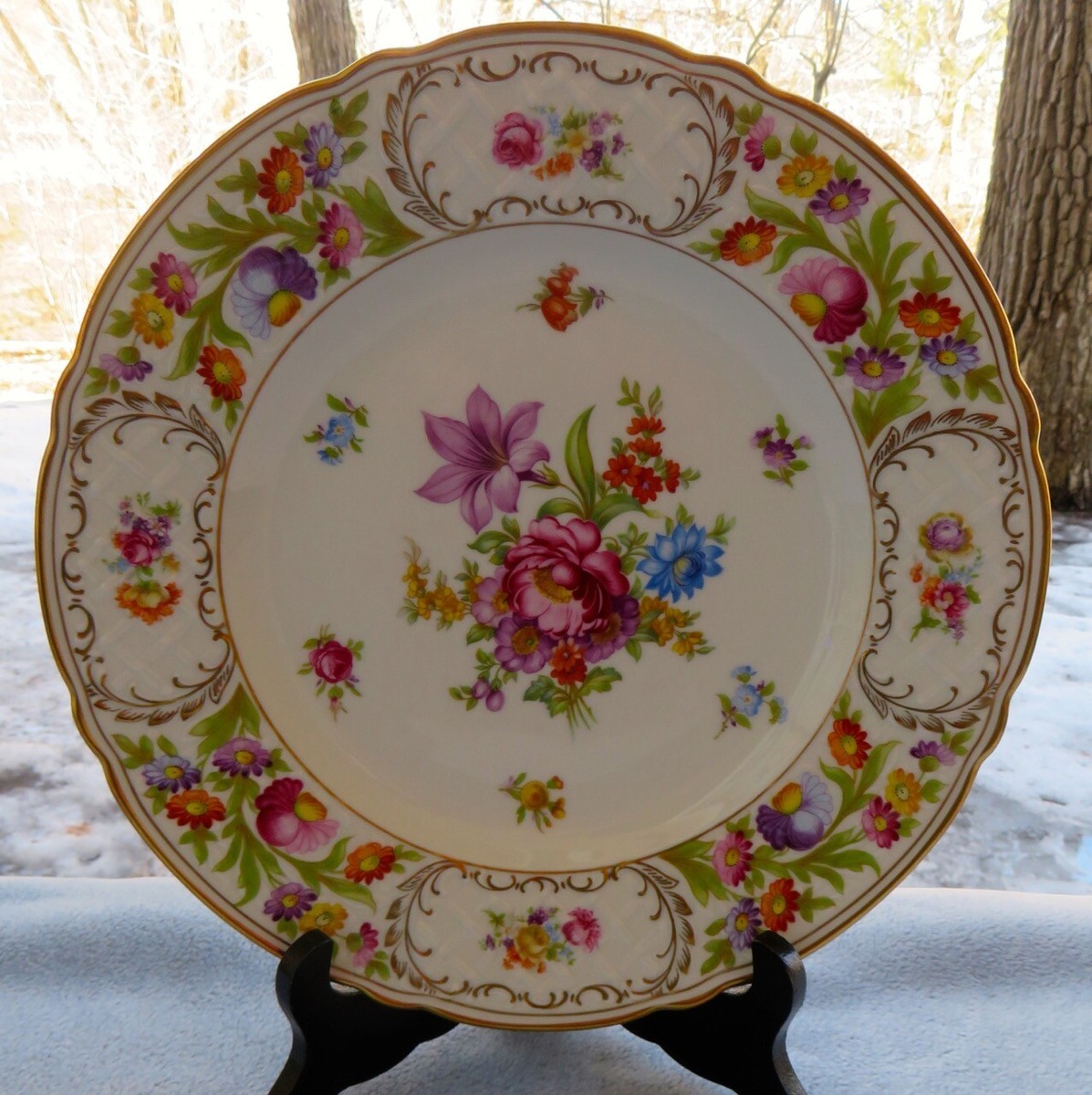 ババリア　シューマン　アルツベルクプレート ドレスデンフラワー 絵がわり Bavaria Schumann Empress Dresden Flowers Large Dinner Plate 11