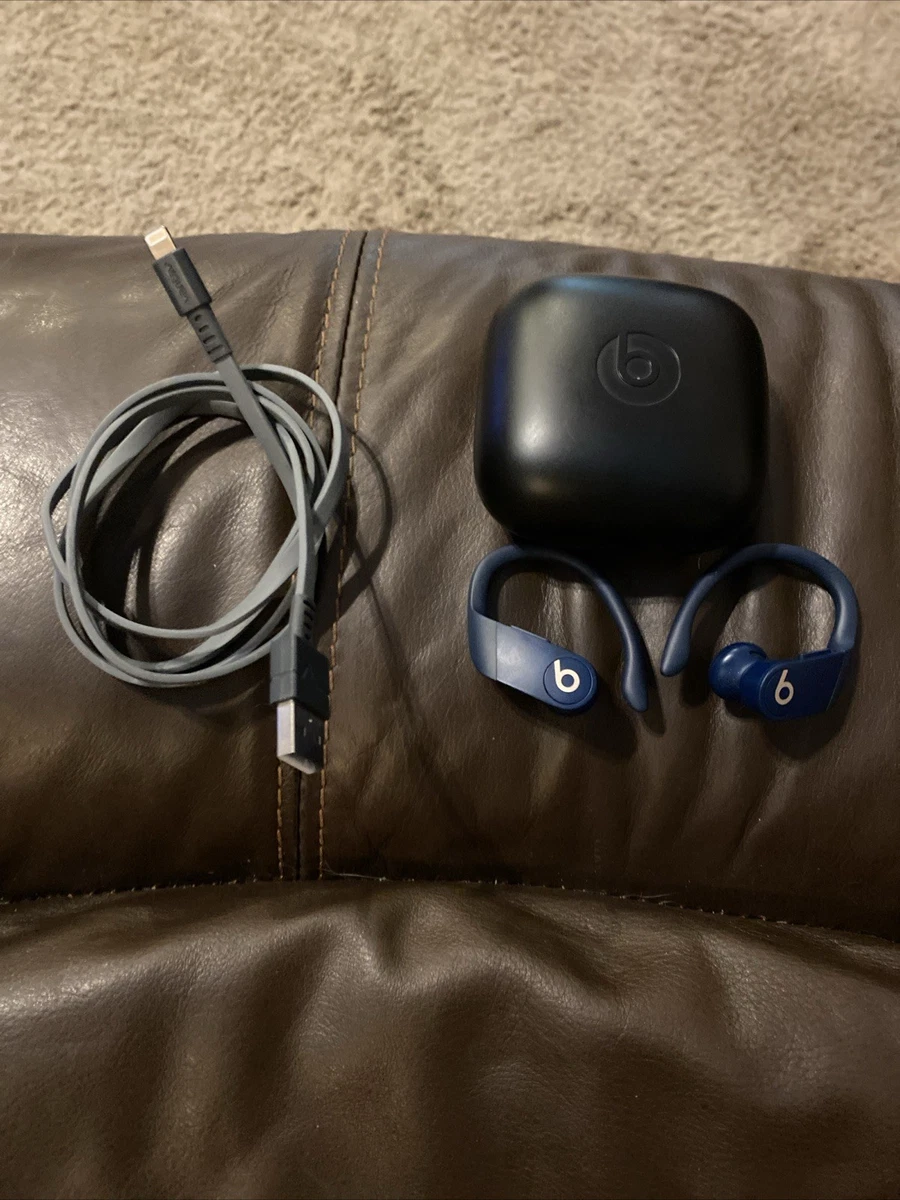 Beats by Dr. Dre Powerbeats Pro Blue Headphones for sale - eBay