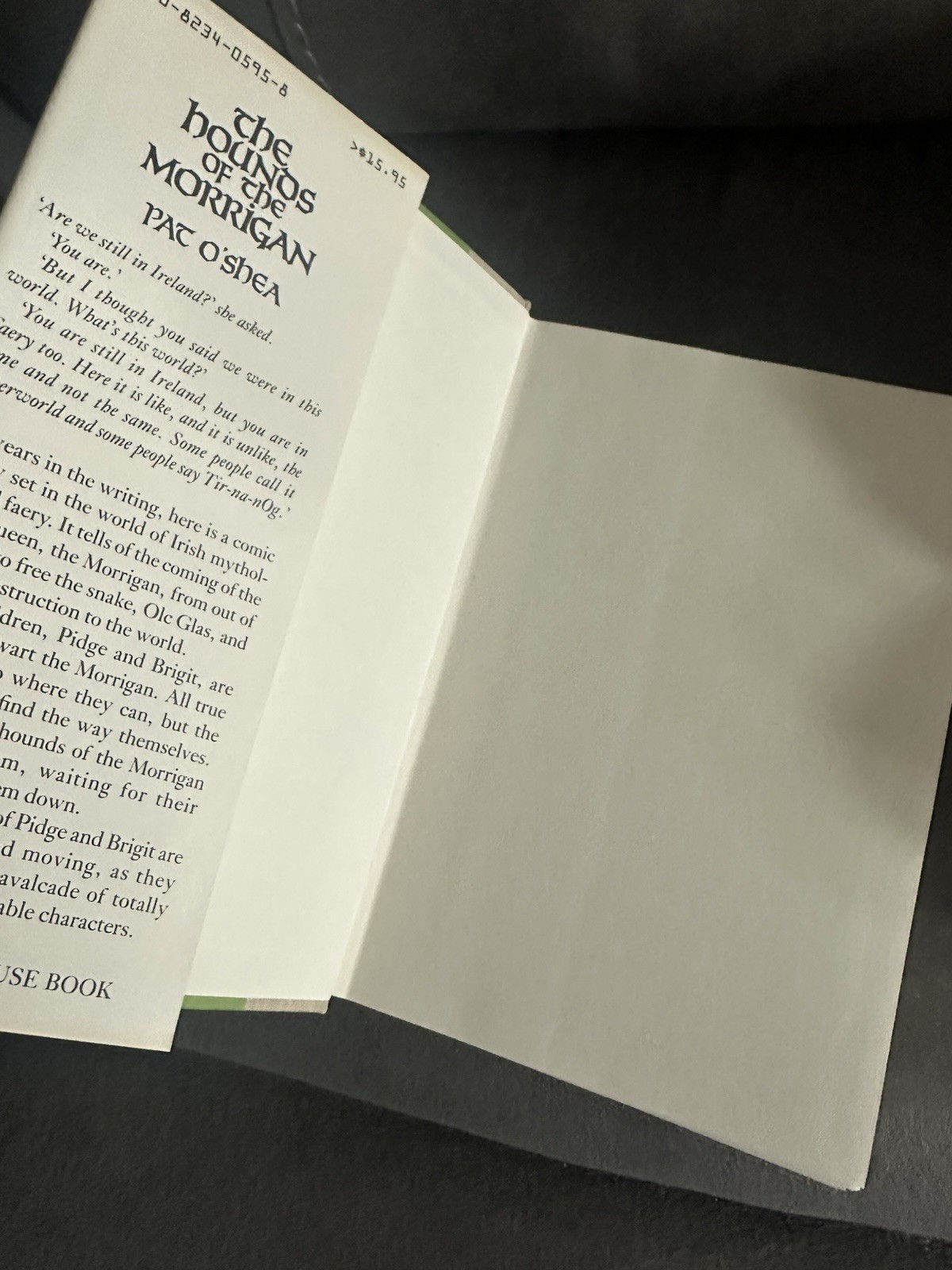 The Hounds of the Morrigan - Pat O'Shea 1985 1st/1st Oxford Press