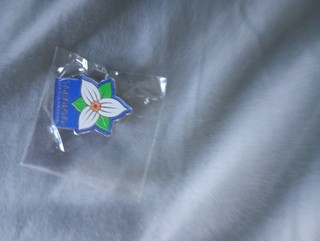 FIFA World Cup World Cup 2026 pin Toronto city