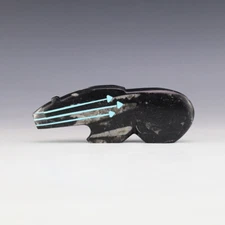 NATIVE AMERICAN ZUNI ORTHOCERAS BEAR FETISH BY KENRIC LAIWAKETE