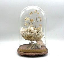 Antico Simulacro Maria Bambina inizi 900 cera  vintage con campana in vetro teca