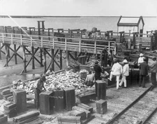 The pearl industry Australia Packing shell Port Hedland Jetty 1922 Old Photo