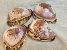 Vintage Tiger Cowrie Hand Carved Shell angel fish, butterflies, SHARK LOT OF 4 