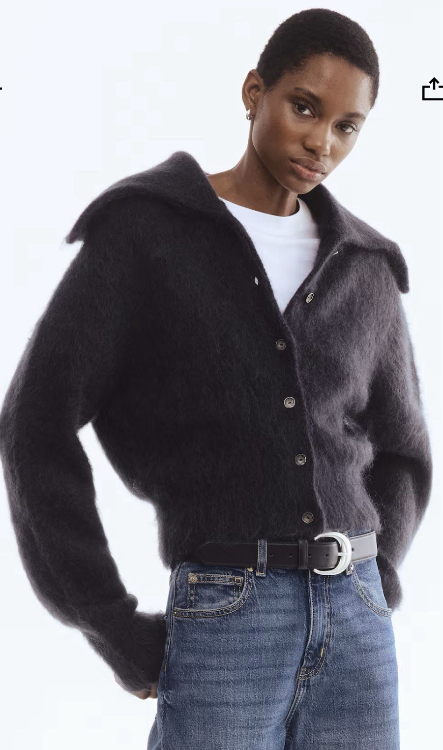 NWT H&M Premium Selection Mohair-Blend Cardigan  (Dark Gray) L. Sold Out