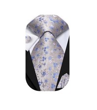 Ties for Men Silk Mens Paisley Floral Striped Necktie and Light Champagne Blue