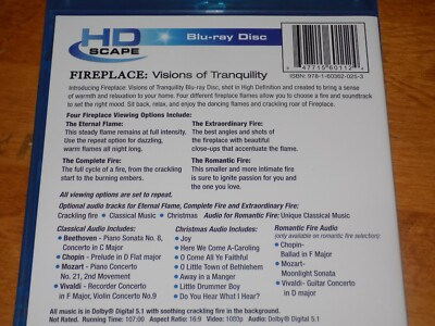FIREPLACE Visions Of Tranquility Fireplaces Romantic Complete Blu