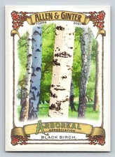 2021 Topps Allen and Ginter Arboreal Appreciation #AA11 Black Birch (ref 189453)