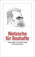 Nietzsche FüR Boshafte | Friedrich Nietzsche | Taschenbuch | 105 S. | Deutsch