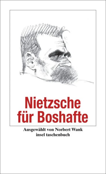 Nietzsche FüR Boshafte | Friedrich Nietzsche | Taschenbuch | 105 S. | Deutsch-image