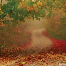 10'x10' Computer-painted Forest Trail Autumn Scenic Background Backdrop SD036