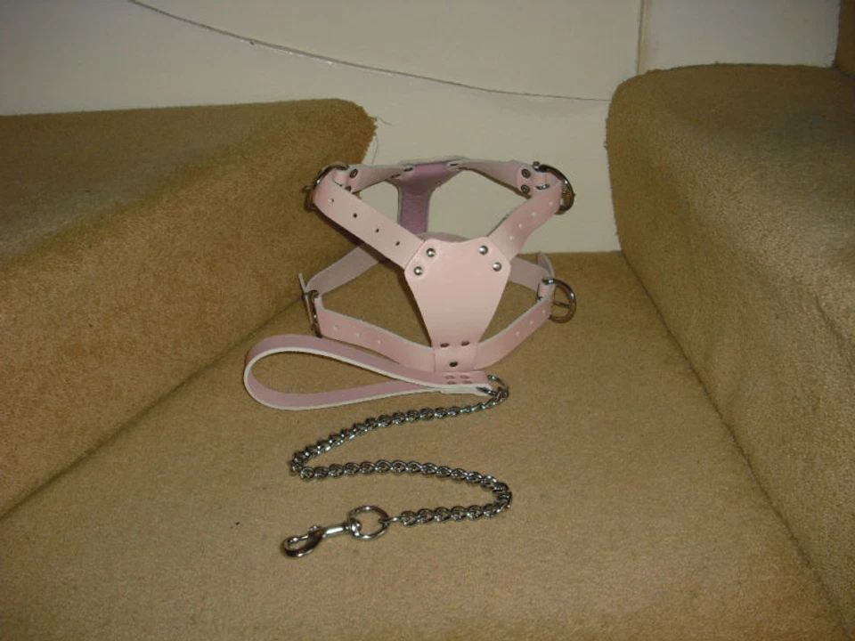 PINK  PADDED LEATHER DOG HARNESS FOR STAFFY WITH LEAD BRAND NEW - Image 4 of 4