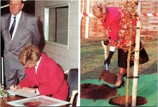 Princesa Diana Iglesia Gresley Árbol Plantación Firma Reino Unido Real - Postal 4x6
